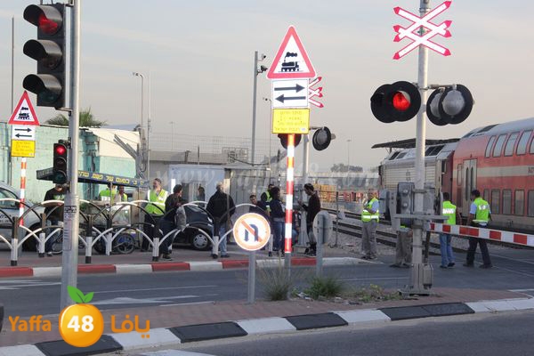 dahs lud 01121 (25).JPG